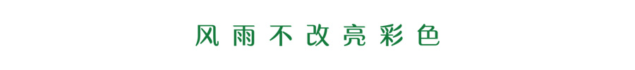 亮彩涂料